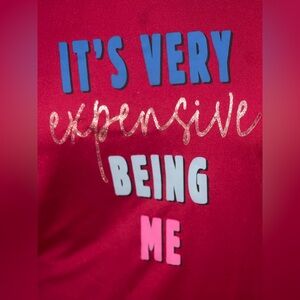 Secret Treasures Pink Pajama dress its Expensive Being Me